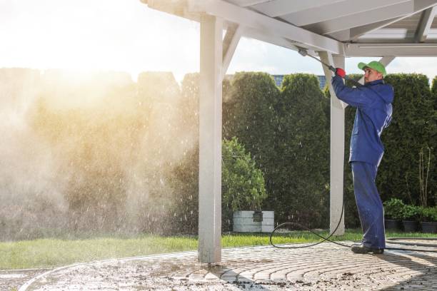 Best House Exterior Washing  in Lindenhurst, IL